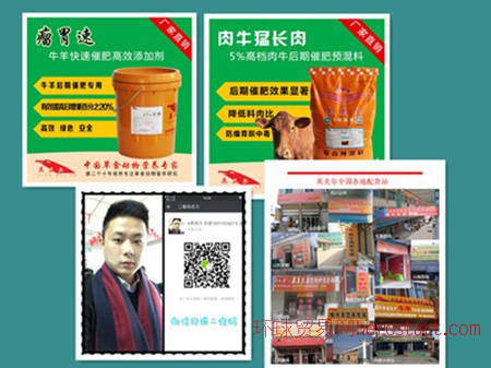 4、 Anglo-Meier 肉牛專用預(yù)混料：什么飼料對牛有益