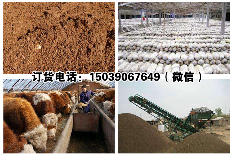 4．發(fā)酵牛飼料可以喂牛嗎？ 