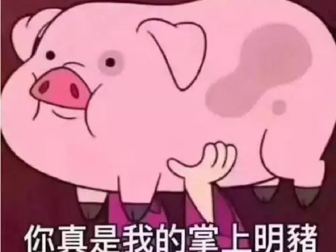 3、歲月是豬的飼料，我已經(jīng)吃夠了。下一句該說什么