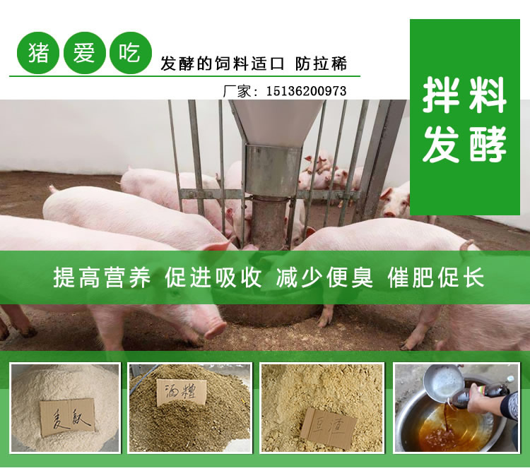 2、豬飼料可以喂牛嗎？