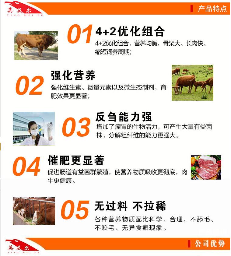 2、一頭奶牛一年應(yīng)該準(zhǔn)備多少飼料？喂食時如何混合飼料？ 
