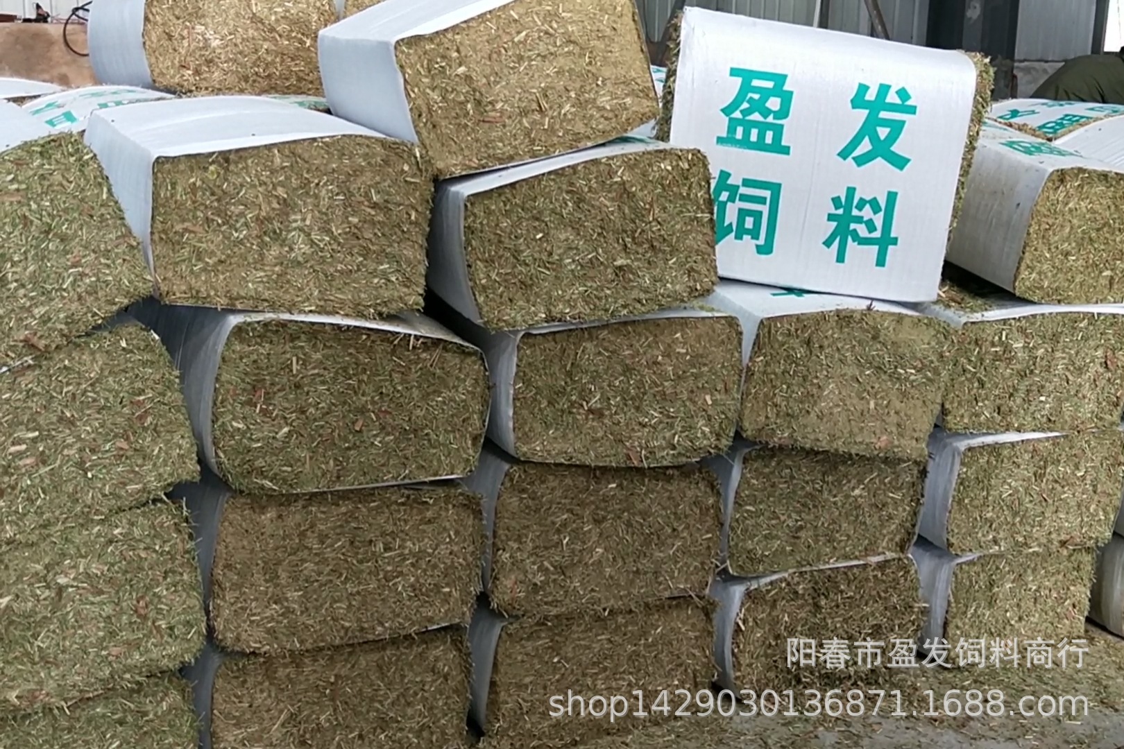 2、全國牛飼料銷售排名