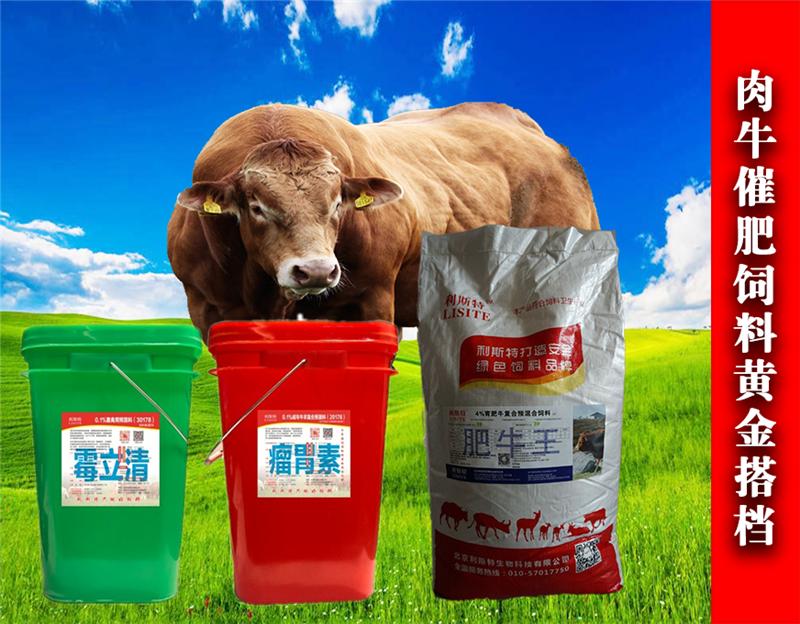 1、育肥牛如何長(zhǎng)得更快？紅糖飼喂奶牛具有增肥作用