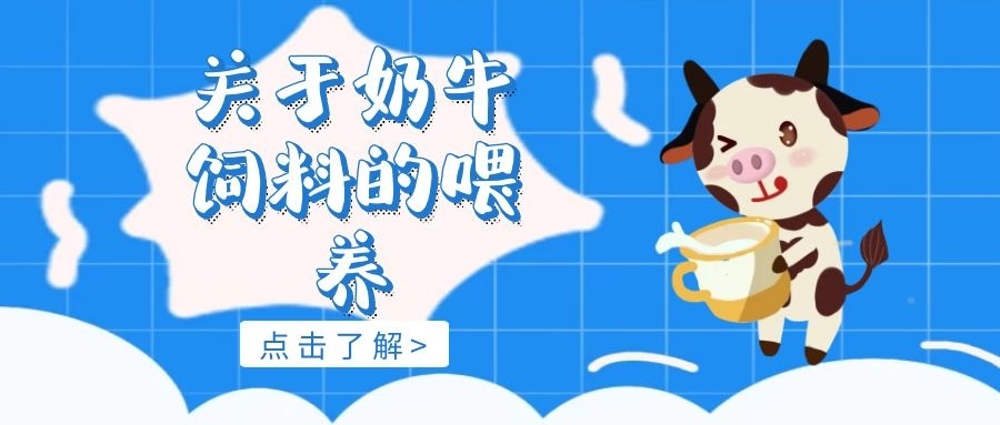 3、奶牛常用的飼料有哪些？ 