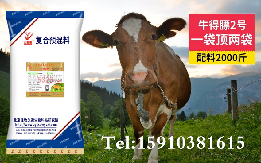 1、育肥牛飼料配方