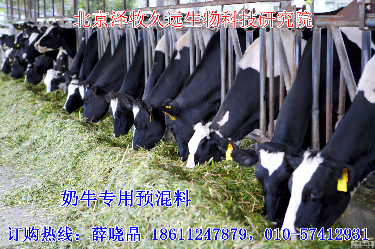 2、奶牛飼料廠有哪些？