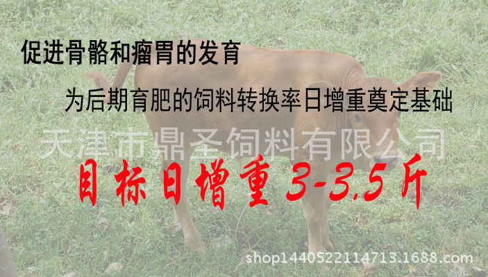 2、育肥牛每天需要多少飼料/肉牛每天吃多少飼料