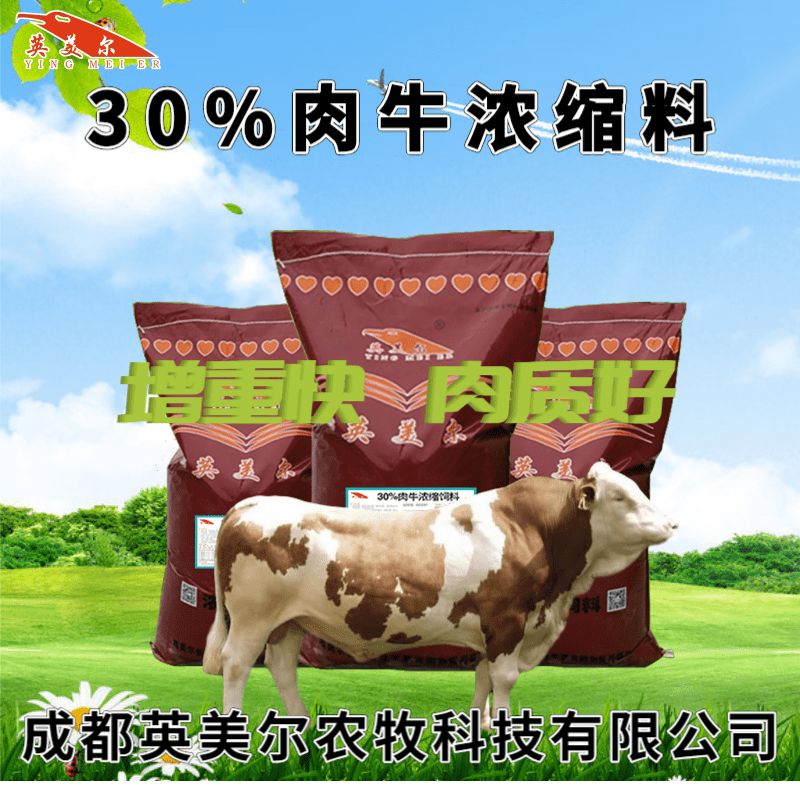 2、養(yǎng)牛用什么飼料好？育肥牛飼料清單